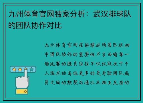 九州体育官网独家分析：武汉排球队的团队协作对比